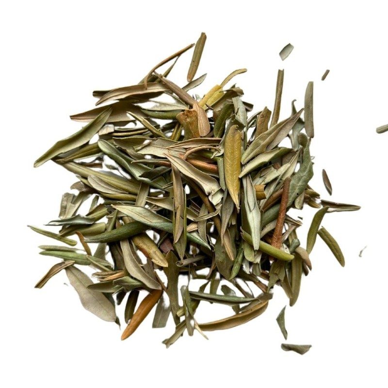 Olivenbaum Blatt 100 GRS Olea europea.
