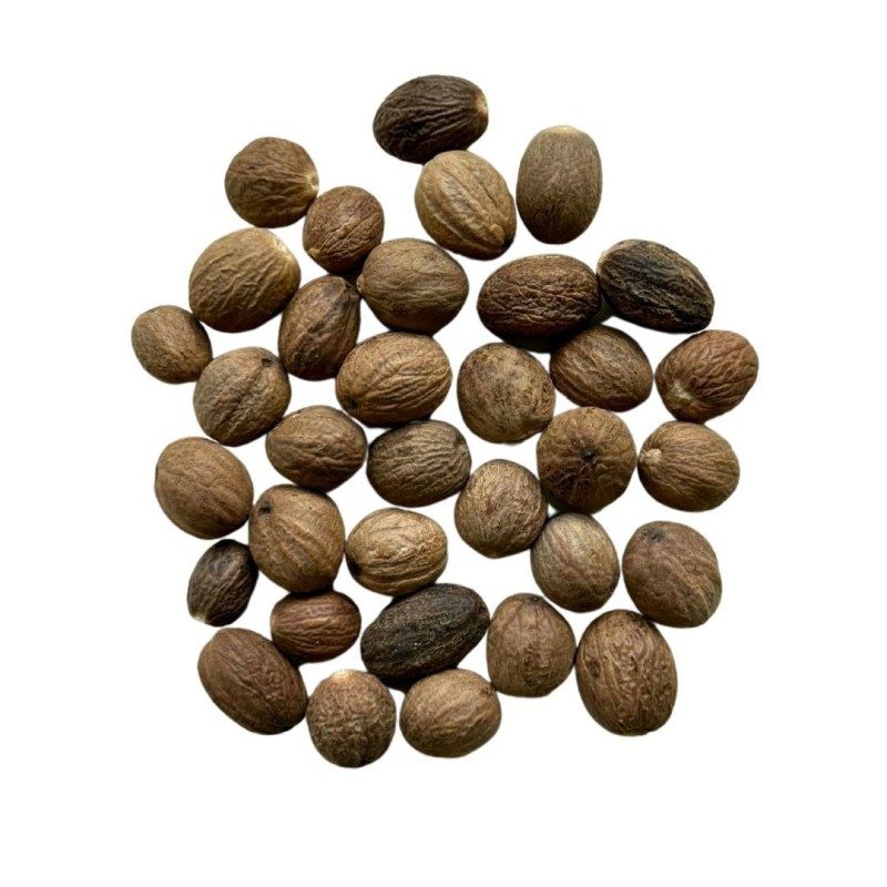 Muskatnuss VOLLSTÄNDIG 50 g Nux moschata Muskatnuss VOLLSTÄNDIG 50 g Nux moschata