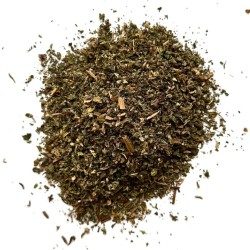 Weiße Taubnessel 100 GRS (Weißer Lampion) Spitze Lamium album