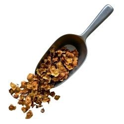 Paliure Frucht VOLLSTÄNDIG 100 GRS Paliurus aculeatus