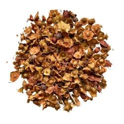 Paliure Frucht VOLLSTÄNDIG 100 GRS Paliurus aculeatus