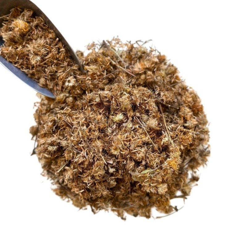 Tisane Arnica fleur ENT 100 GRS Arnica montana Tisane Arnica fleur ENT 100 GRS Arnica montana