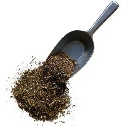 Pariétaire plante 100 GRS Parietaria officinalis.