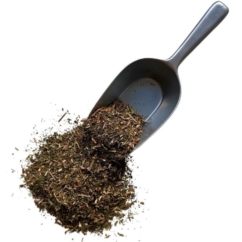 Pariétaire plante 100 GRS Parietaria officinalis.