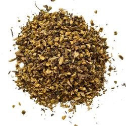 Patience große Wurzel 250 GRS Rumex patientia.