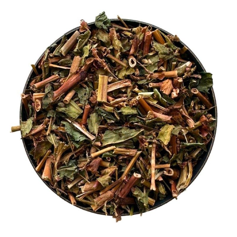 Persicaire plante 250 GRS Polygonum persicaria.