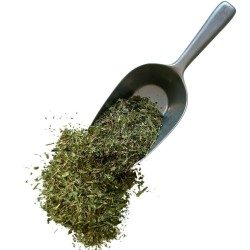 Tisane Pervenche petite 250 GRS officinale feuille Vinca minor.