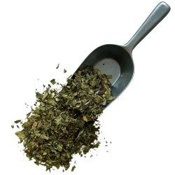 Plantain Blatt 100 GRS Frankreich extra Plantago lanceolata.