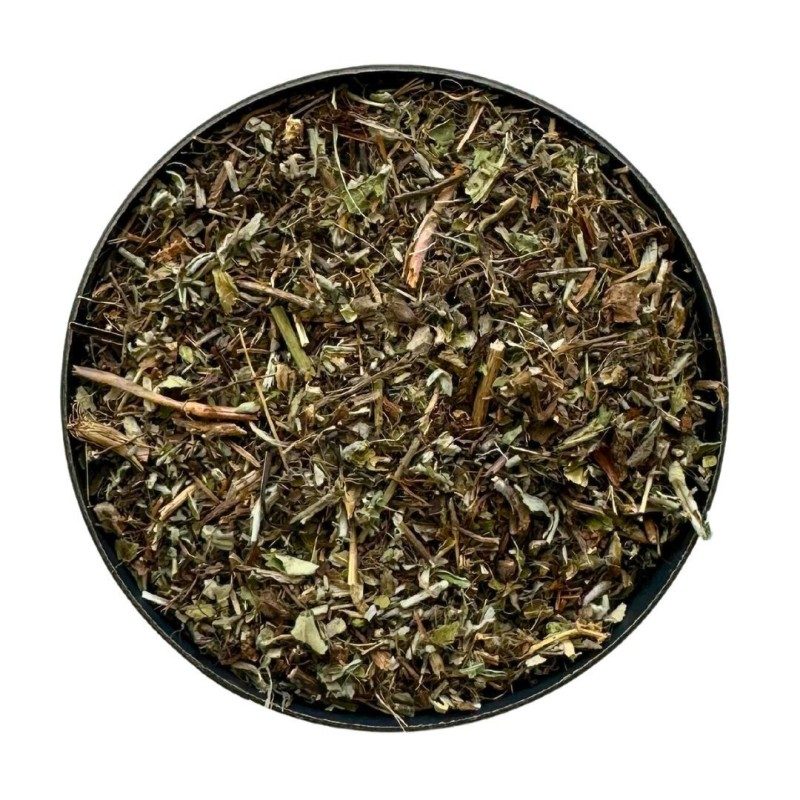 Piloselle Pflanze 100 GRS Hieracium pilosella.