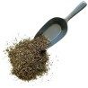 Piloselle Pflanze 1 KILO Hieracium pilosella.