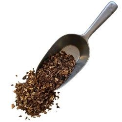 Schwarzer Rettich Wurzel 100 GRS Raphanus sativus var nigra.