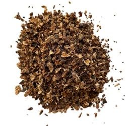 Schwarzer Rettich Wurzel 100 GRS Raphanus sativus var nigra.