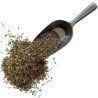 Vogelknöterich Pflanze 250 GRS Polygonum aviculare