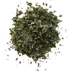 Brombeere (Maulbeerbaum) Blatt 100 GRS Rubus fructicosus