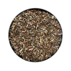 Salicaria Pflanze 100 GRS Lithrum salicaria.