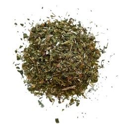 Seifenkraut Pflanze 100 GRS Saponaria officinalis