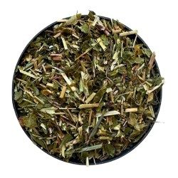 Seifenkraut Pflanze 100 GRS Saponaria officinalis