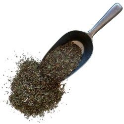 Nerpel Pflanze 100 GRS Thymus serpyllum.