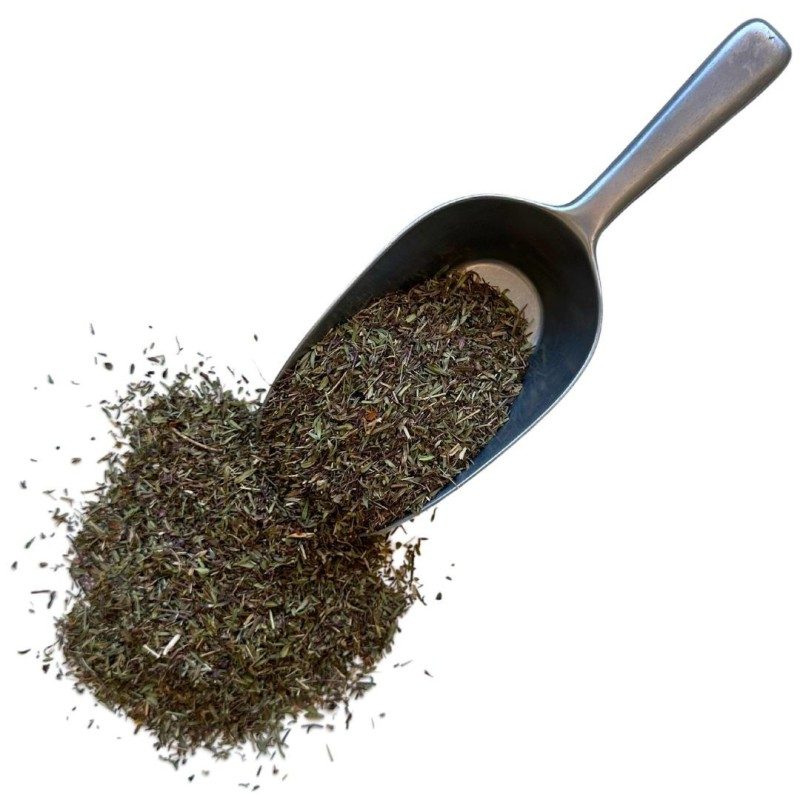 Nerpel Pflanze 100 GRS Thymus serpyllum.