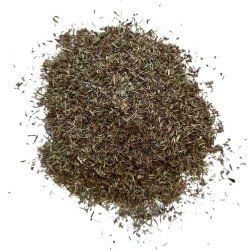 Nerpel Pflanze 250 GRS Thymus serpyllum.