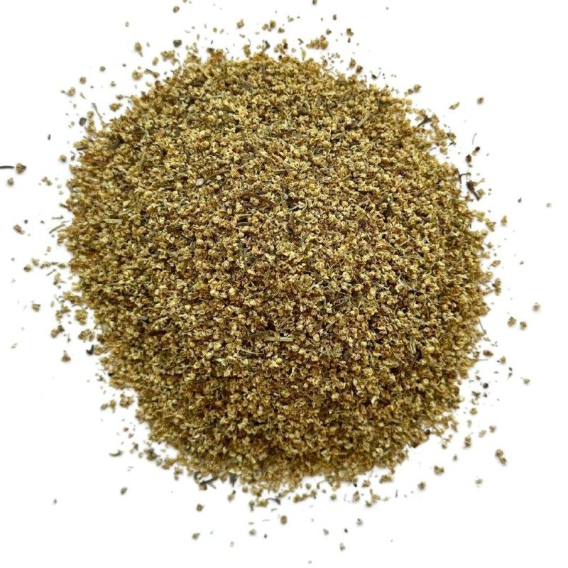 Holunderblüte VOLLSTÄNDIG 100 GRS Sambucus nigra