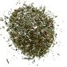 Goldrute (Solidago) Pflanze 100 GRS Solidago virga aurea