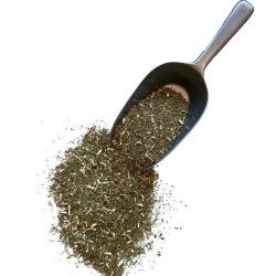 Vergerette du Canada (Erigeron) plante CT 250 GRS Erigeron Canad