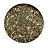 Kanadische Eberraute (Erigeron) Pflanze CT 250 GRS Erigeron Canad