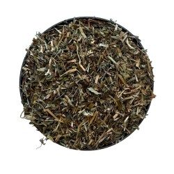 Veronika TK-Pflanze 100 g Veronica officinalis
