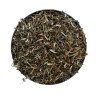 Veronika TK-Pflanze 100 g Veronica officinalis