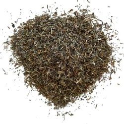 Véronique plante CT 1 kilo Veronica officinalis