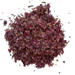 Rote Weinrebe Blatt (Frankreich) 100 GRS Vitis vinifera.