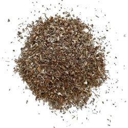 Salicaire plante 250 GRS Lithrum salicaria.