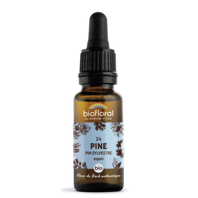 FLEURS DE BACH n°24 pine FLEURS DE BACH n°24 pine