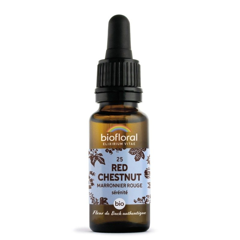 FLEURS DE BACH n°25 Red Chestnut, Marronnier rouge FLEURS DE BACH n°25 Red Chestnut, Marronnier rouge
