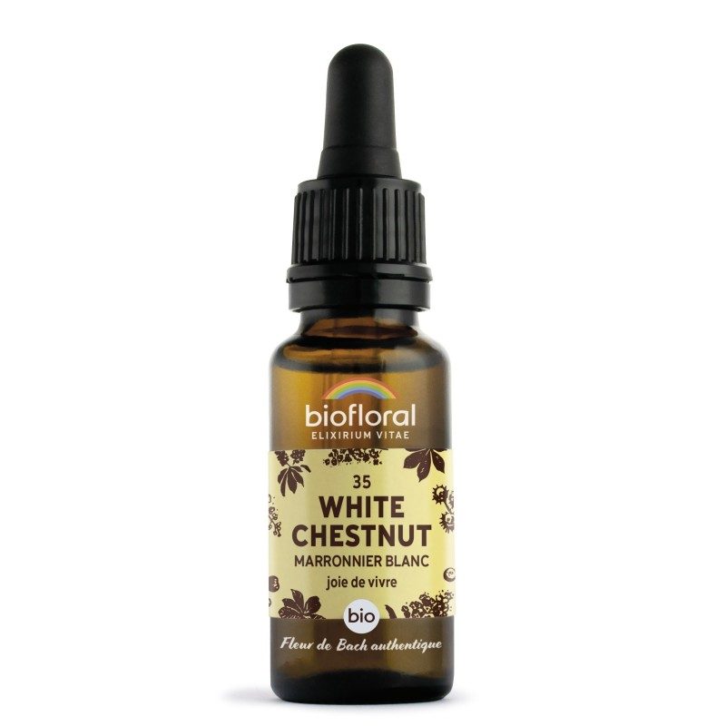 FLEURS DE BACH n°35 White Chestnut, Marronnier blanc FLEURS DE BACH n°35 White Chestnut, Marronnier blanc