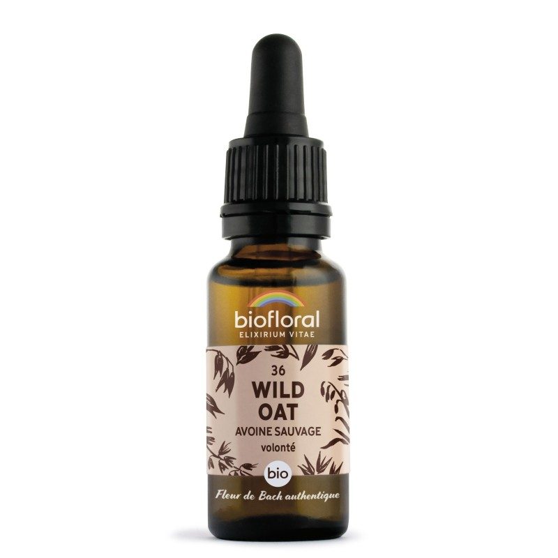 FLEURS DE BACH n°36 Wild Oat, Avoine sauvage FLEURS DE BACH n°36 Wild Oat, Avoine sauvage