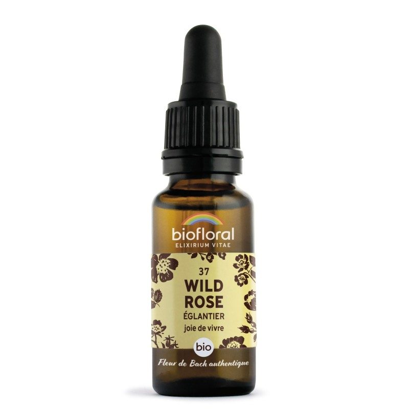 FLEURS DE BACH n°37 Wild Rose, Eglantier FLEURS DE BACH n°37 Wild Rose, Eglantier