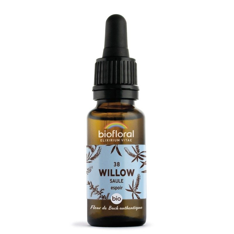 FLEURS DE BACH n°37 Willow, Saule FLEURS DE BACH n°37 Willow, Saule