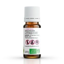 Huile essentielle THYM THYMOL BIO AB - 10ml