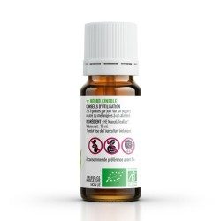 Huile essentielle NIAOULI BIO AB - 10ml