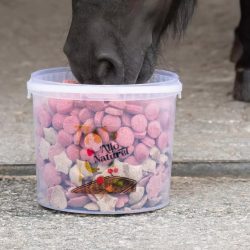Bonbons pour chevaux - Seau de 1 litre / 500 grammes