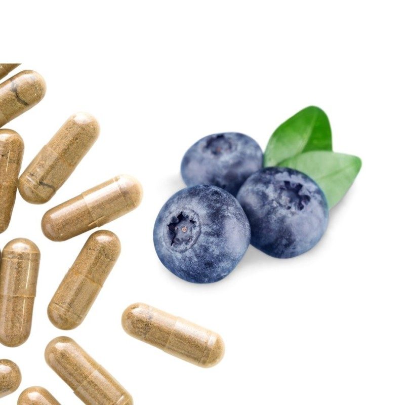 MYRTILLE BAIE GELES 200 Kapseln mit einer Dosierung von 250 mg reinem Pulver.