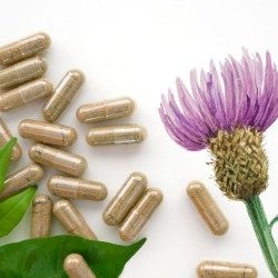 GELULES BARDANE racine 250 mg 1000 GELULES