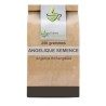 Tisane Angélique seed, 100 grams sachet - France-Herboristerie