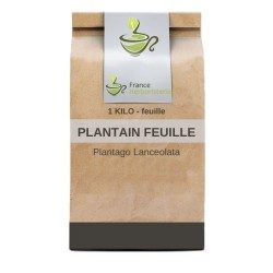 Tisane Plantain feuille 100 GRS - France Herboristerie