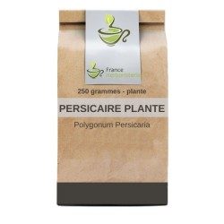Infusión planta persicaire 100 GRS - France Herboristerie