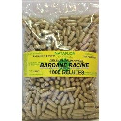 BARDANE root 100 250 mg hard capsules - Pot of 100 capsules - France Herboristerie