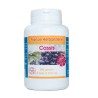 CASSIS GELULES sheet 120 270 mg hard capsules - France Herboristerie