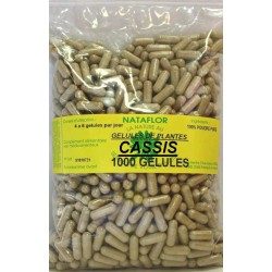 CASSIS GELULES sheet 120 270 mg hard capsules - France Herboristerie